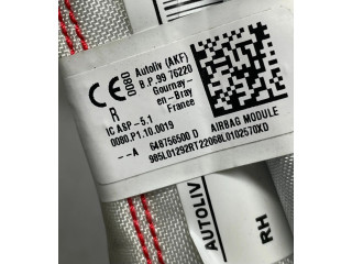 Боковая подушка безопасности Dacia Sandero