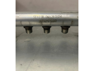 Топливная рампа 9656917280, DW12BTED4   Citroen C-Crosser  