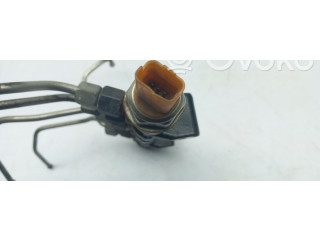 Топливная рампа 0445214318 Citroen C4 II Picasso для двигателя BHZ (DV6FC)