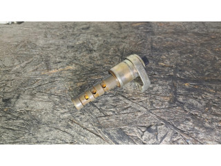 Варочный клапан Vanos