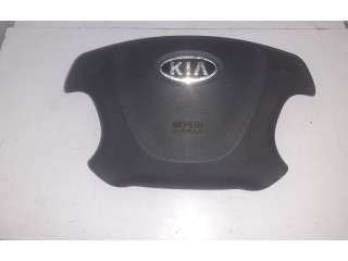 Přístrojová deska KIA Carnival 2007 569004D520