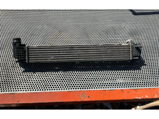 Интеркулер 8200880552 Dacia Duster