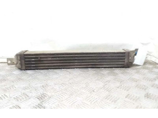 Интеркулер     Opel Meriva A 