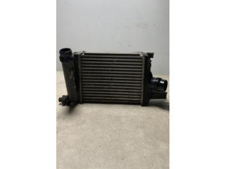 Интеркулер  144965154R, 144965154R   Renault Clio III 