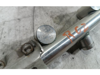 Топливная рампа V7592426 Peugeot RCZ