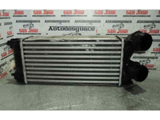 Интеркулер     Citroen Berlingo 