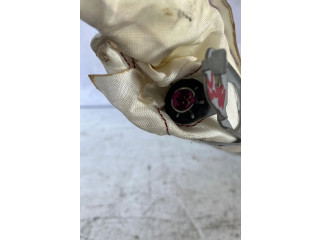 Надувная подушка для крыши    00519425950, 00519425950   Lancia Ypsilon