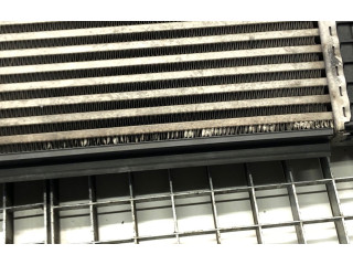 Интеркулер Skoda Octavia Mk2 (1Z)