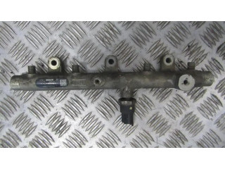 Vstřikovací lišta 0445214019, 030290 Citroen Xsara Picasso pro naftový motor 2.0