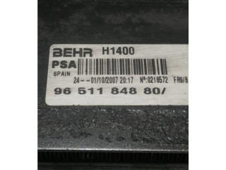 Řídící jednotka 9651184880, 9651184880 Peugeot 207 2007