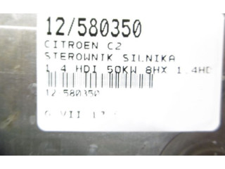 Блок управления двигателем Блок управления 9658556880, 9658556880 Alpine C2