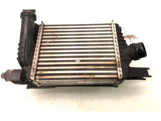 Интеркулер     Dacia Duster 