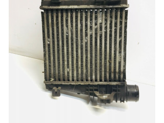 Vstřikovací lišta    Citroen C4 II Picasso     