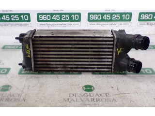 Интеркулер     Peugeot Partner 