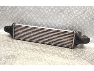 Интеркулер A2045000200 Ford Fiesta