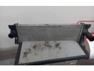 Интеркулер 621970 SsangYong Actyon