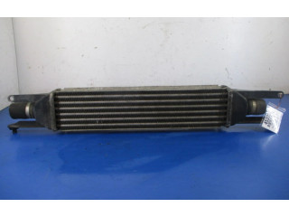 Интеркулер 51785221, 51785221 Fiat Linea