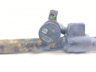 Комплект форсунок 28602948, 1870361 Citroen DS4 AHR (DW10FD)