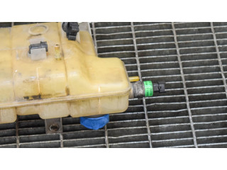 Расширительный бачок охлаждающей жидкости