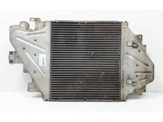 Интеркулер  8200252209, B9030   Renault Clio II 