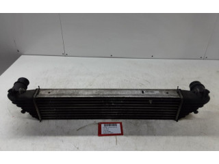 Интеркулер  8E0650000, 8E0650000   Fiat Punto (199) 