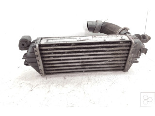 Радиатор интеркулера     17517798204, BEHR    Mini One - Cooper R50 - 53 