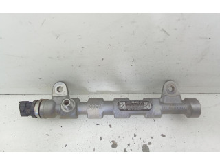 Топливная рампа 0445214359, 0445214359 Jeep Compass