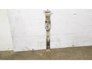 Задний aмортизатор      