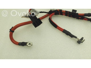 Плюсовый провод (аккумулятора)