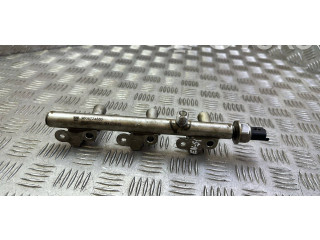 Топливная рампа 9806724880, 194170845   Citroen C3  