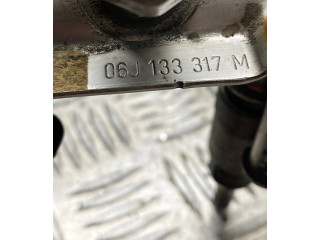 Комплект форсунок 06J133317M    Audi A3 S3 A3 Sportback 8P  СDAA 