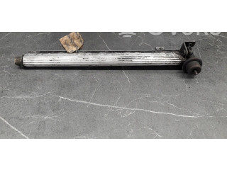 Топливная рампа 17093119 Pontiac Trans Sport