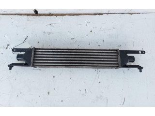 Интеркулер     Fiat Grande Punto 