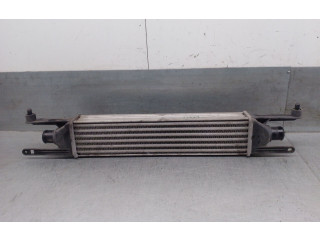 Интеркулер 55700449, 55700449 Fiat Grande Punto
