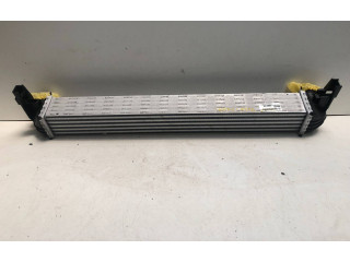 Интеркулер 6R0145805, V9113003 Skoda Fabia Mk2 (5J)