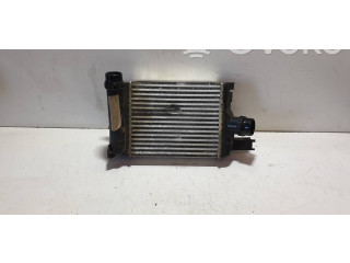 Интеркулер  14461B681D, 144967634R   Dacia Duster II 