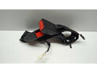 Средняя поясная пряжка ()