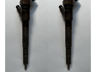 Жиклер (жиклеры) (форсунка (форсунки) 0445110279 Citroen C4 I Picasso