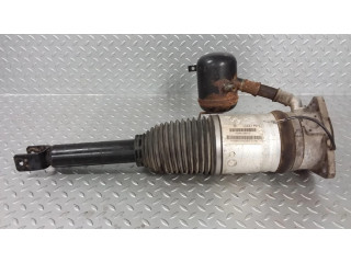 Задний aмортизатор (пневматическое / гидравлическое шасси)