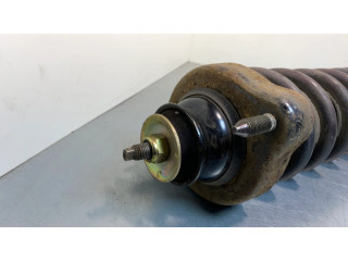 Задний aмортизатор