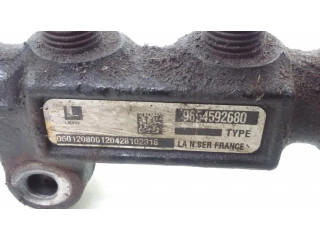 Vstřikovací lišta 9654592680, 9653981180 Citroen C3 pro naftový motor 1.6