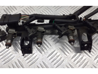 Vstřikovací lišta 8200367230 Renault Modus