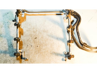 Vstřikovací lišta 079133681G, 0280156180 Audi A4 S4 B7 8E 8H pro benzínový motor 4.2