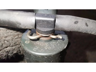 Форсунка 0445110036    Citroen C8 для дизельного двигателя  2.2