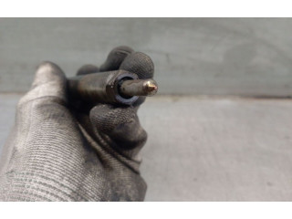 Форсунка A6650170121, A6650170121    SsangYong Rexton  D27DT 