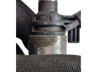 Форсунка 06H906036H, 0261500074    Audi TT TTS Mk2  CDAA CDA 