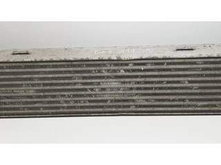 Интеркулер A2045000300 Mercedes-Benz C W204