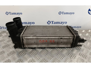 Интеркулер 9684946380, M144207D Citroen C5