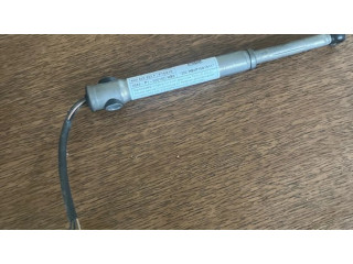 Петля (петли) капота двигателя