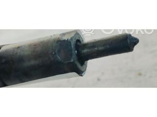 Vstřikovač 0445110008   Peugeot 307    RHYDW10TD 